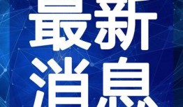 菠萝哥哥爆料视频大全最新,揭秘娱乐圈幕后真相