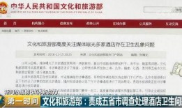 酒楼卫生爆料案例范文最新,食品安全警钟长鸣