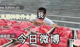吃瓜黑网爆料最新一期,揭秘娱乐圈惊人内幕！
