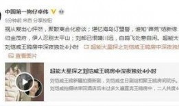 德凯剧情最新爆料视频网,揭秘剧情高潮与角色命运转折