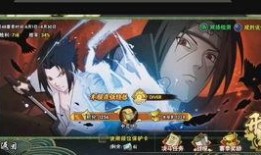 许愿宝库最新忍者爆料,神秘忍者登场，揭秘忍者世界新篇章