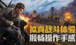 和平精英探长最新爆料,揭秘游戏新内容与更新动态