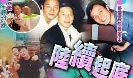 史先生最新爆料,最新爆料背后的惊人真相