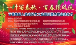 武冈新闻爆料事件最新,真相追踪与舆论漩涡